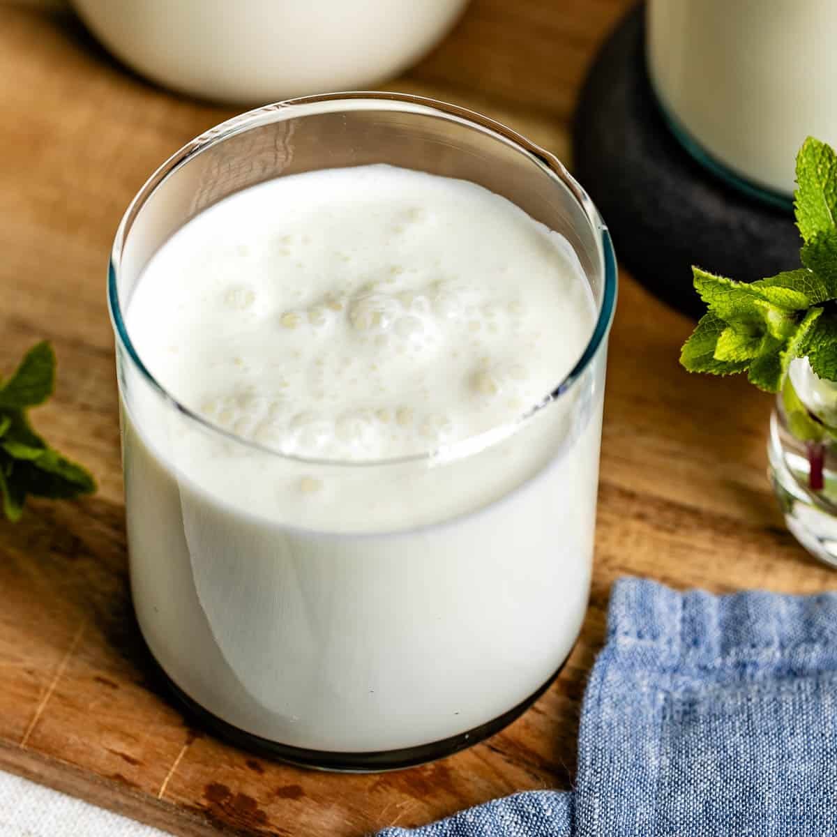 Ayran-recipe